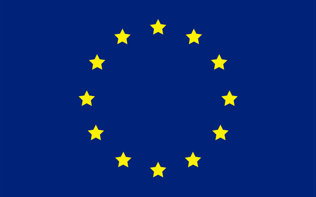 The European Union flag.