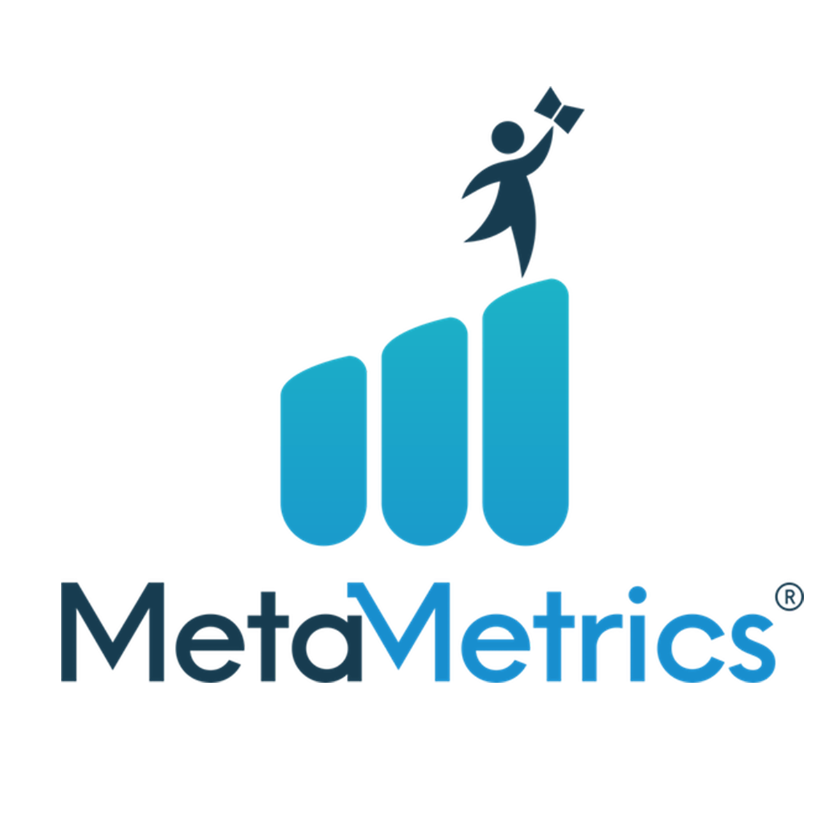 MetaMetrics client logo 2