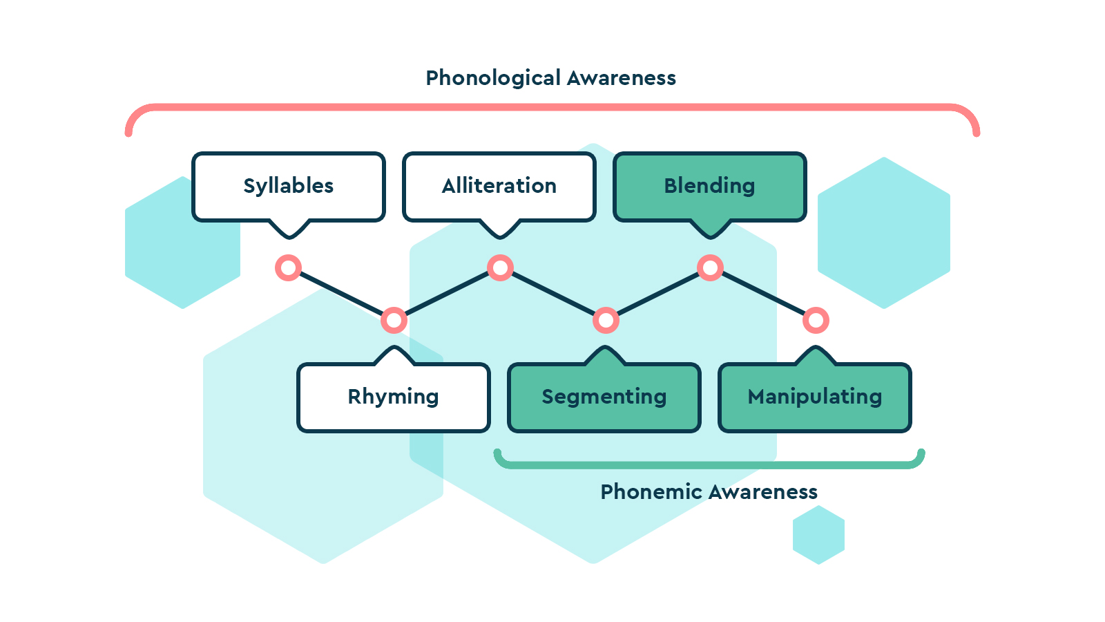 An chart showing the relationship between phonological and phonemic awareness.
