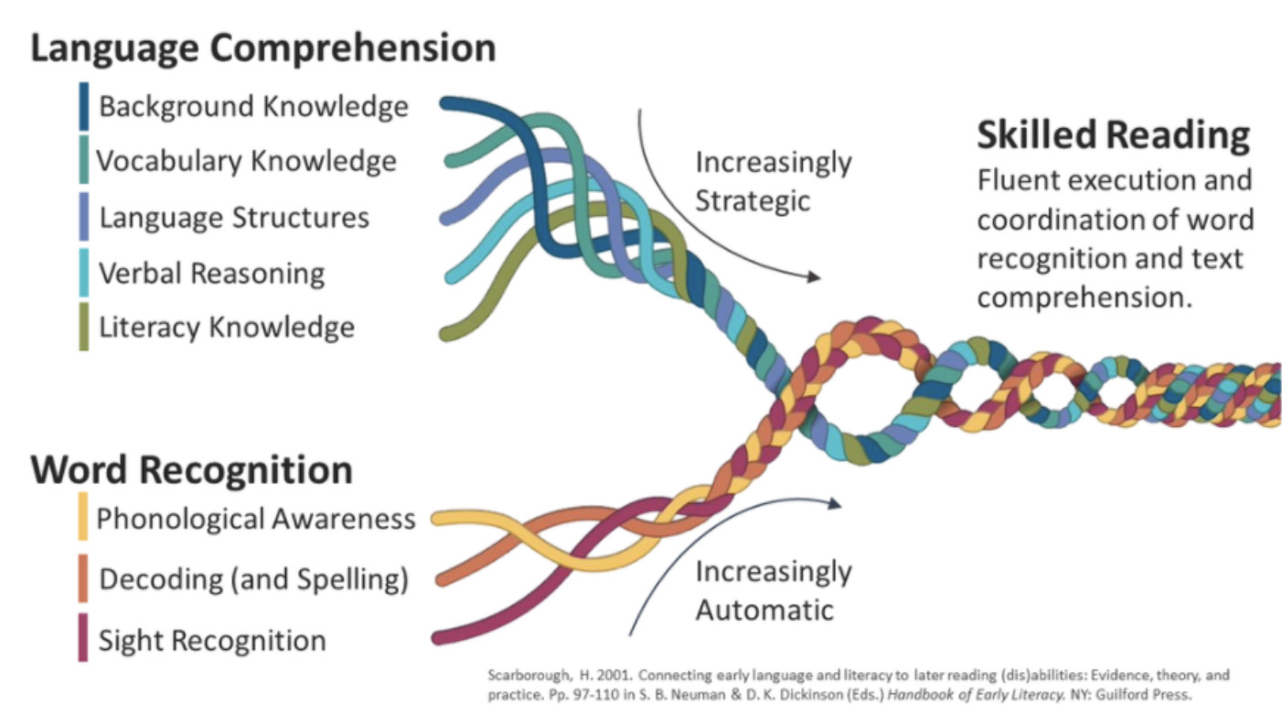 An image of Scarborough's Reading Rope, which demonstrates how mastery of language recognition and word recognition are essential to oral reading fluency.